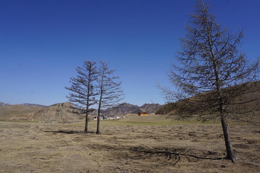 我的蒙古环保蒙古包露营地 Nalayh 外观 照片